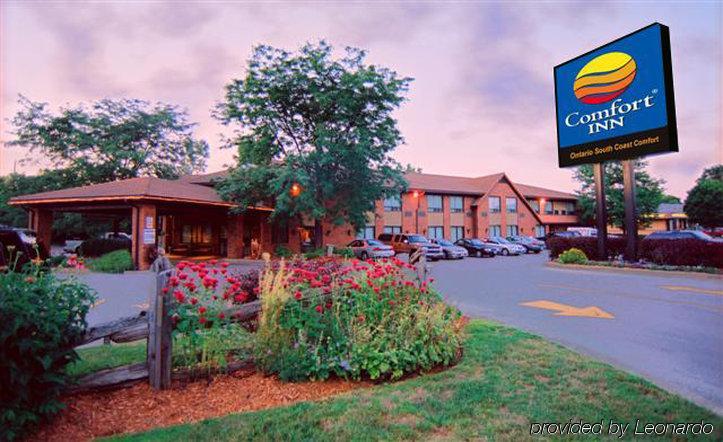 Comfort Inn Simcoe Exterior foto